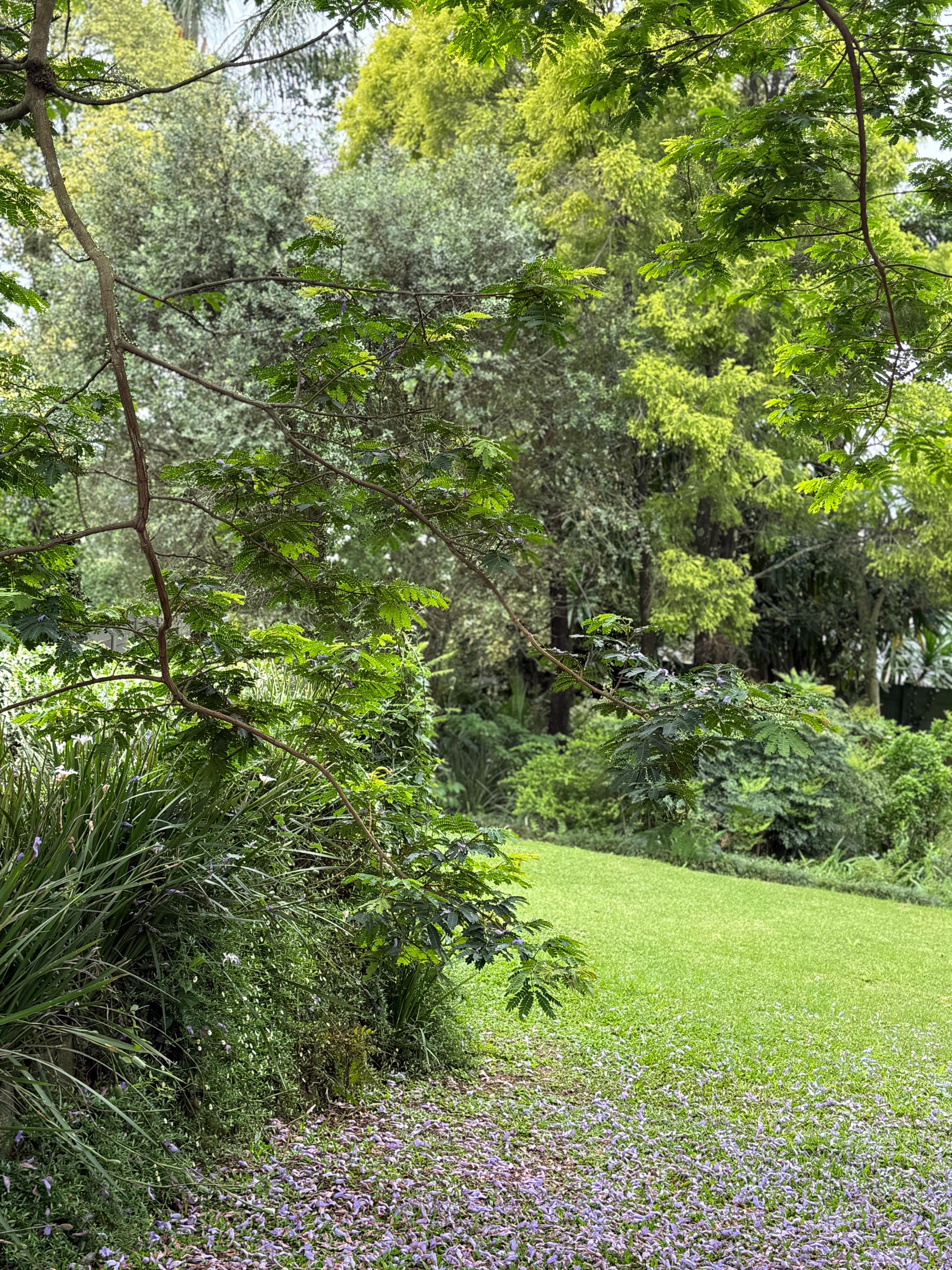 Greenlands garden